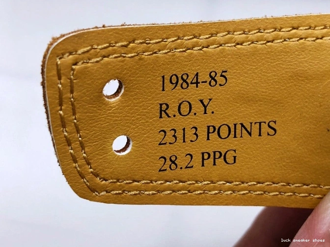 Reps LUCY Rookie the Air 555088-700 Year Jordan Retro High 1 of OG 0724